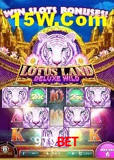 Experiência VIP 979Bet